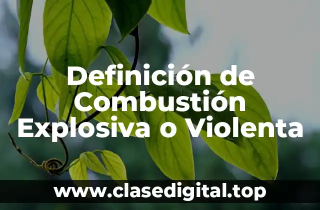 Definición de Combustión Explosiva o Violenta