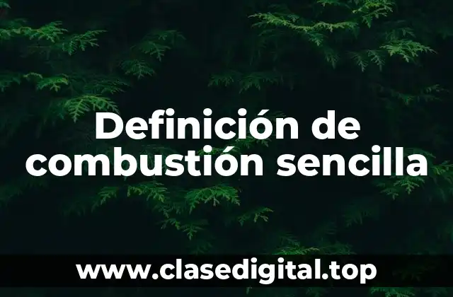 Definición de combustión sencilla
