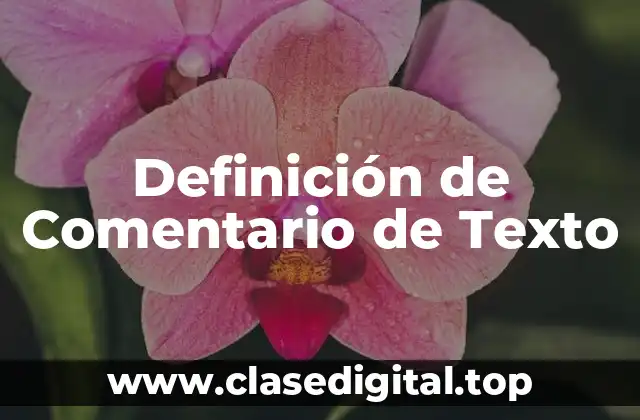 Definición Técnica de Comentario de Texto