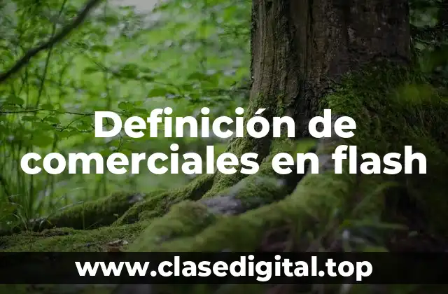 Ejemplos de comerciales en flash