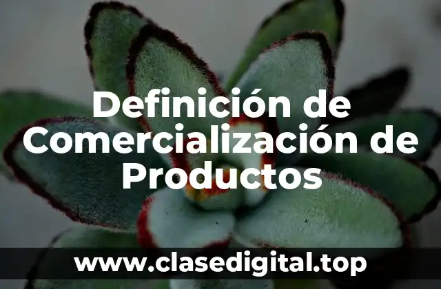 Definición de Comercialización de Productos