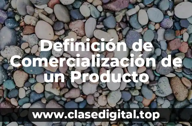 Definición Técnica de Comercialización de un Producto