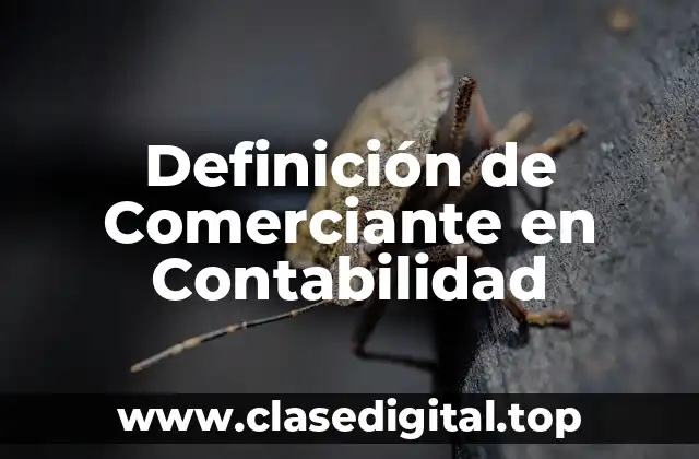 Definición de Comerciante en Contabilidad