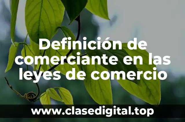 Definición de comerciante en las leyes de comercio