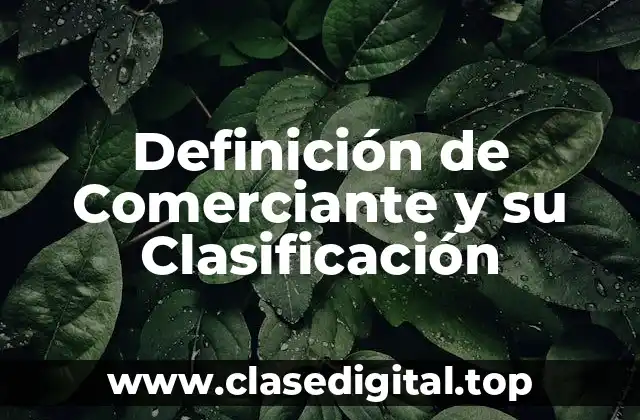 Definición de Comerciante y su Clasificación