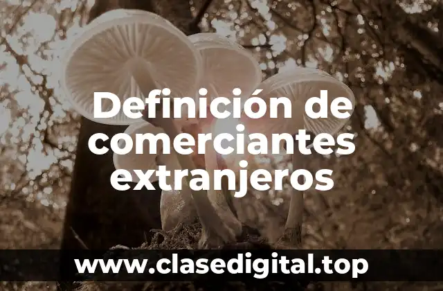 Definición de comerciantes extranjeros