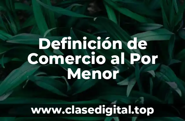 Definición de Comercio al Por Menor