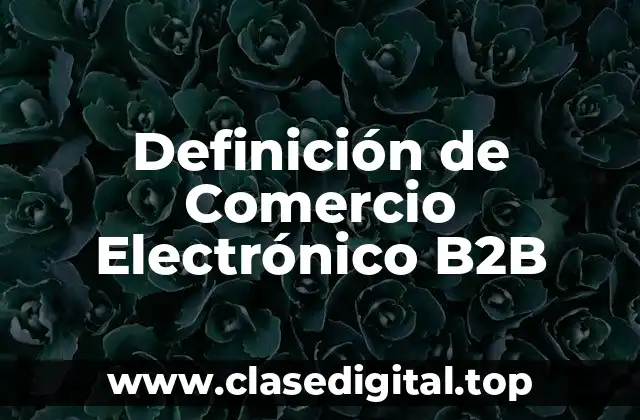 Definición de Comercio Electrónico B2B