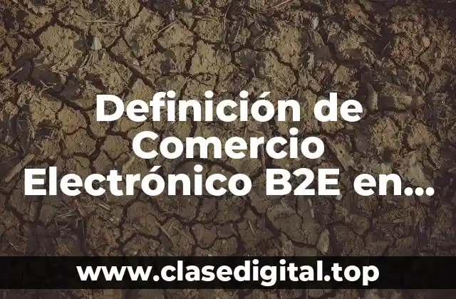 Definición de Comercio Electrónico B2E en México