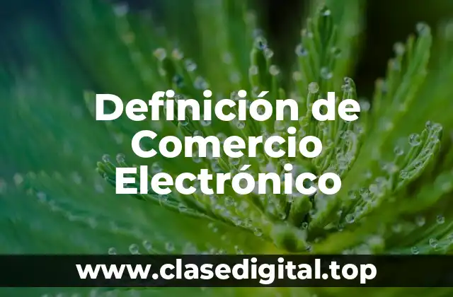 Definición Técnica de Comercio Electrónico