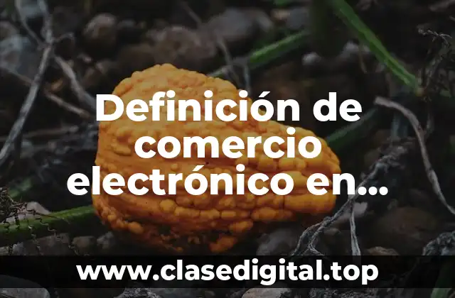 Definición de comercio electrónico en México