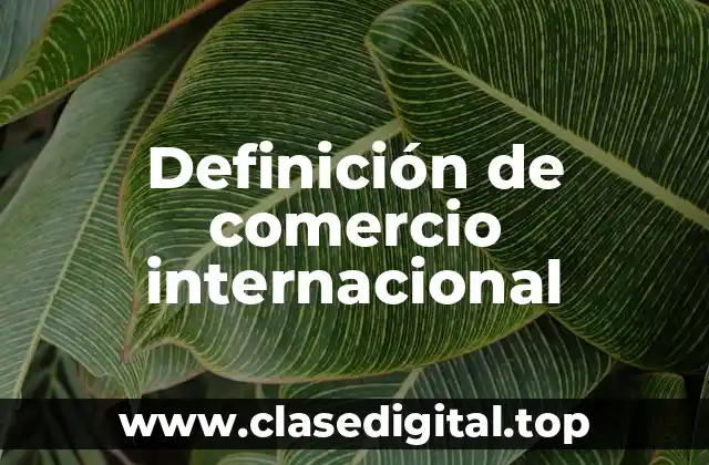 Definición técnica de comercio internacional