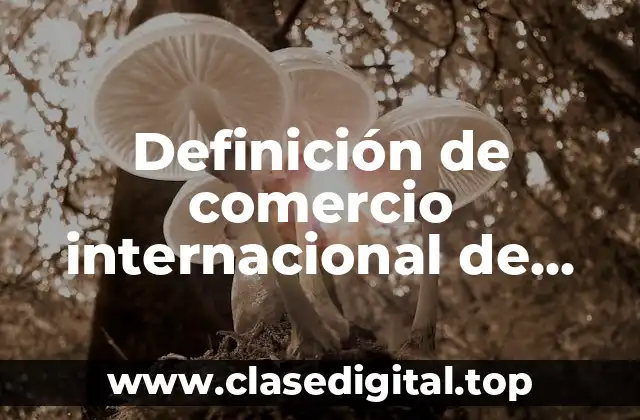 Definición de comercio internacional de importación