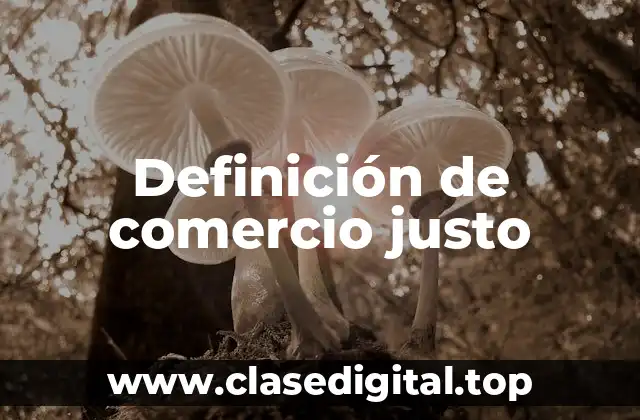 Definición técnica de comercio justo