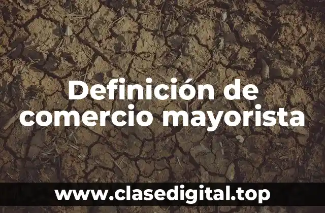 Definición de comercio mayorista