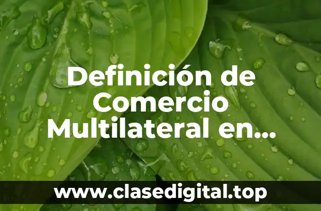 Definición de Comercio Multilateral en Economía