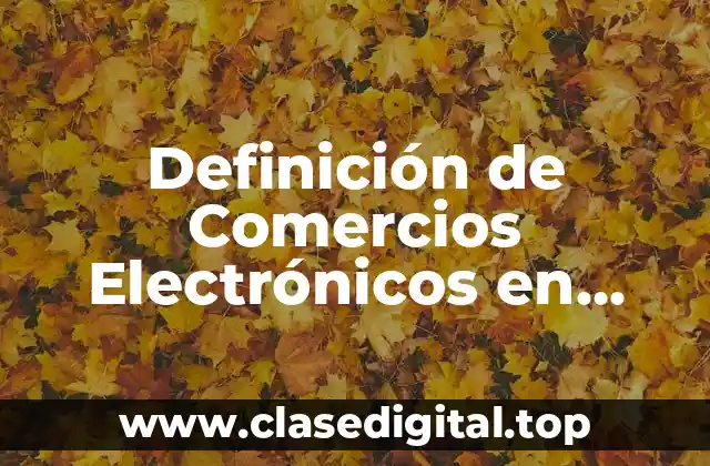 Ejemplos de Comercios Electrónicos en México