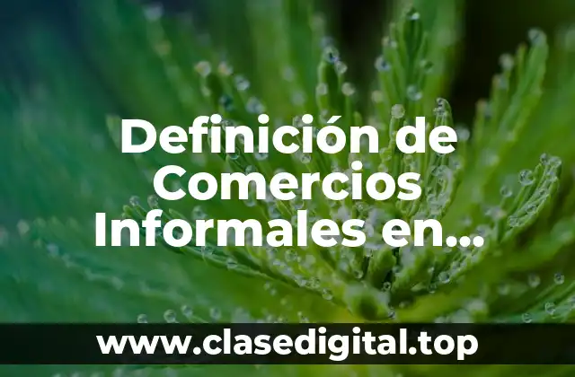 Definición de Comercios Informales en México