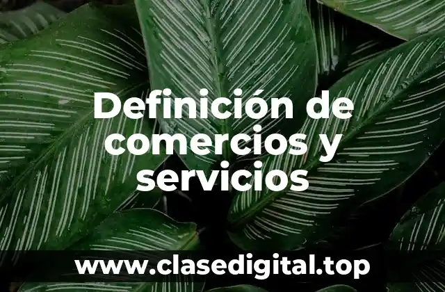 Definición de comercios y servicios