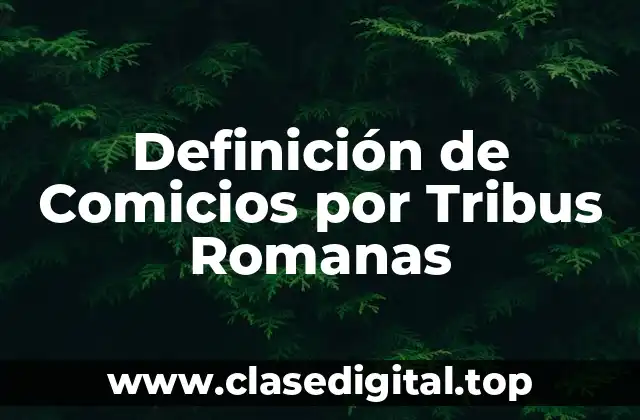 Definición de Comicios por Tribus Romanas