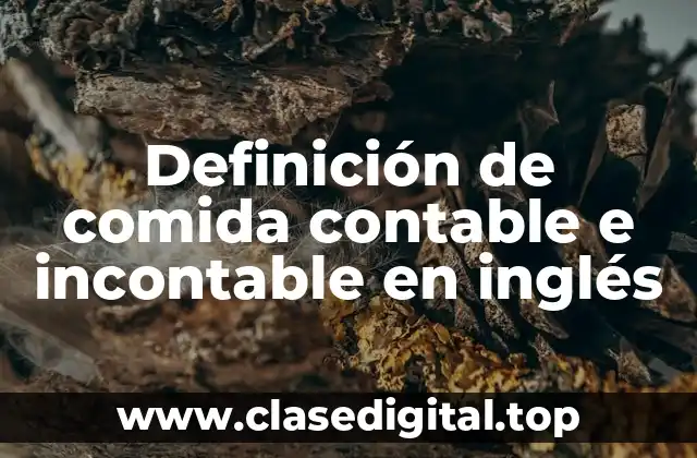 Definición de comida contable e incontable en inglés