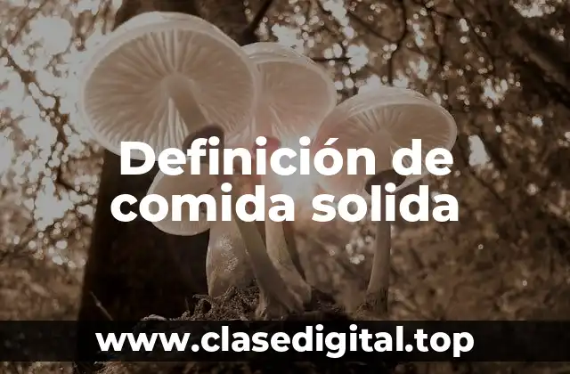Definición de comida solida