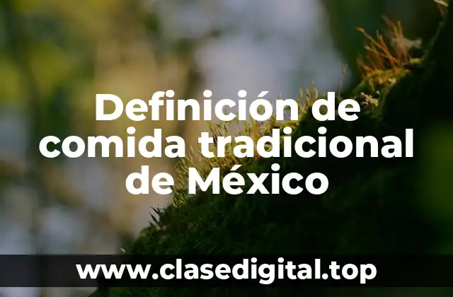Ejemplos de comida tradicional de México