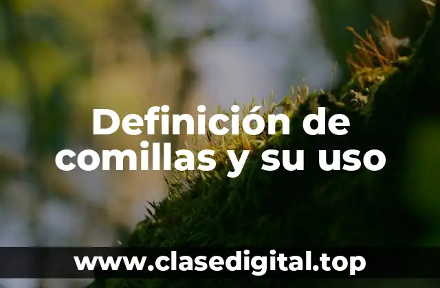 Definición de comillas y su uso