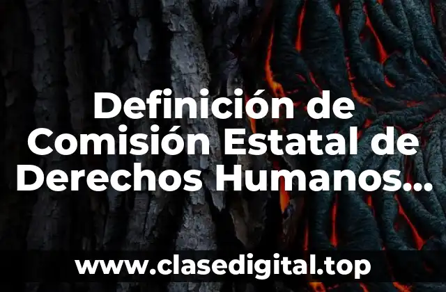 Definición de Comisión Estatal de Derechos Humanos de Nuevo León