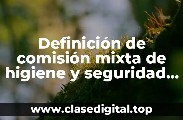 Definición de comisión mixta de higiene y seguridad industrial