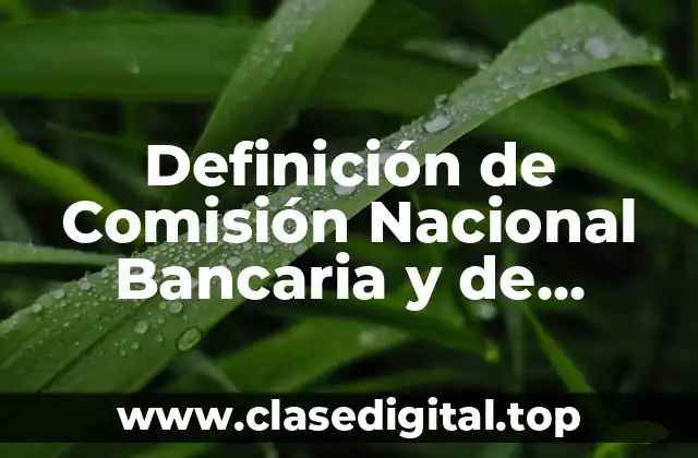 Definición de Comisión Nacional Bancaria y de Valores