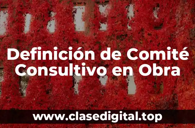 Definición de Comité Consultivo en Obra