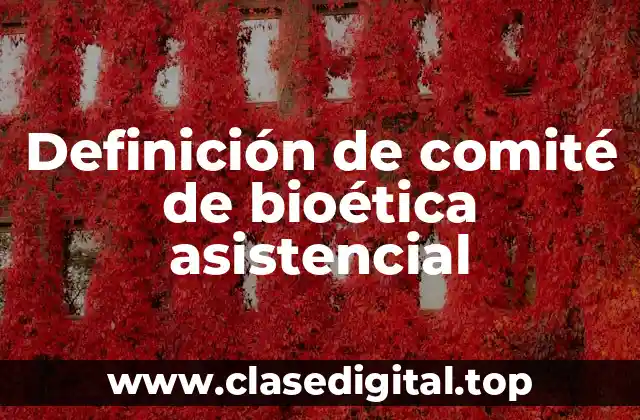 Definición de comité de bioética asistencial