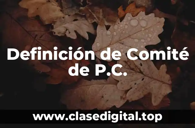 Definición de Comité de P.C.