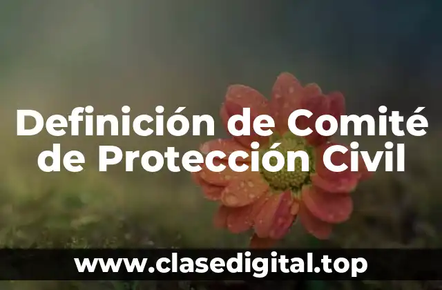 Definición de Comité de Protección Civil