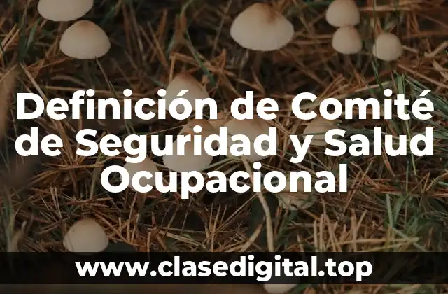 Definición de Comité de Seguridad y Salud Ocupacional