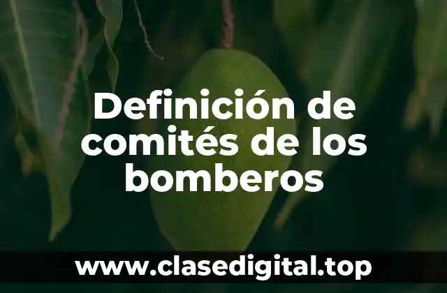 Ejemplos de comités de los bomberos