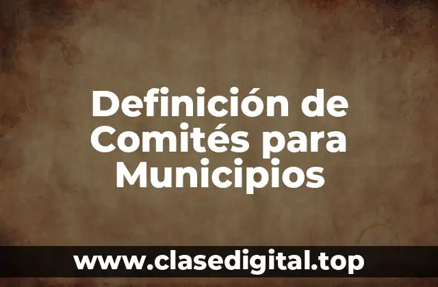Definición de Comités para Municipios