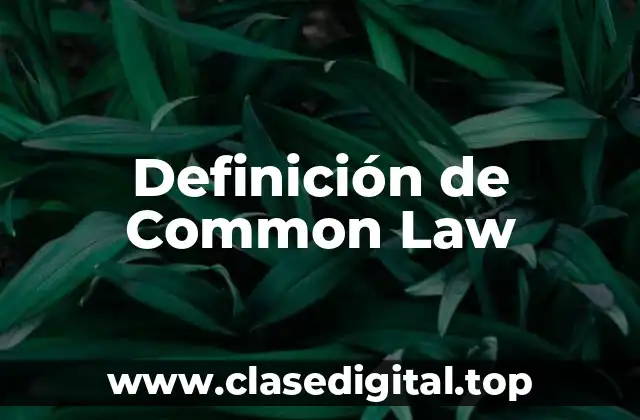 Definición de Common Law