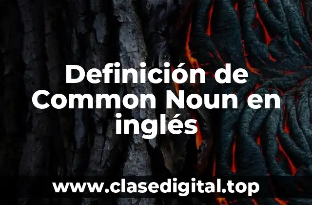 Definición de Common Noun en inglés