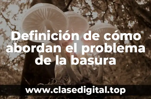 Ejemplos de cómo abordan el problema de la basura