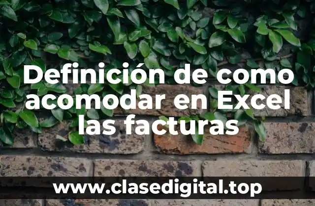 Ejemplos de como acomodar en Excel las facturas