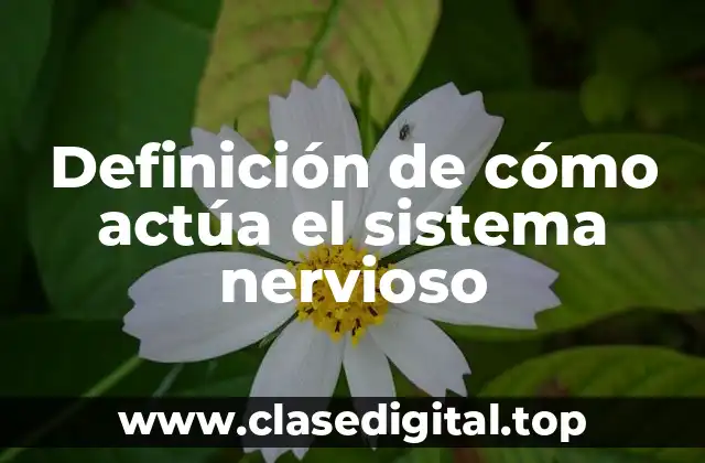 Definición de cómo actúa el sistema nervioso