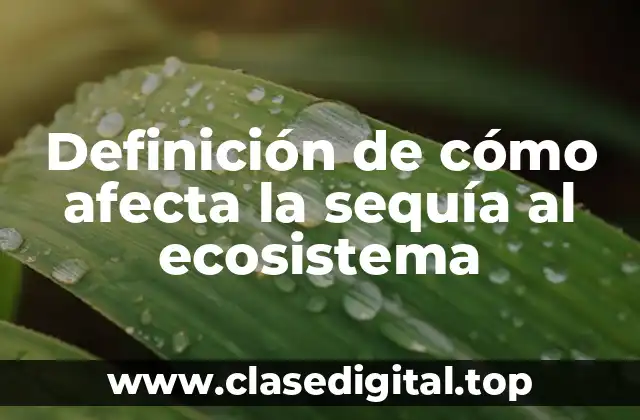 Definición de cómo afecta la sequía al ecosistema