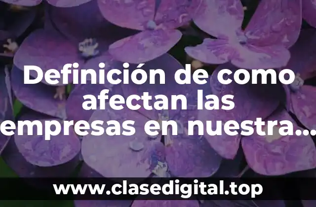 Definición de como afectan las empresas en nuestra vida cotidiana