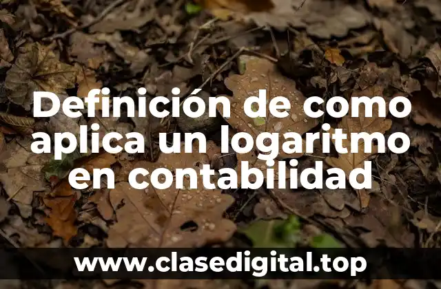 Definición de como aplica un logaritmo en contabilidad