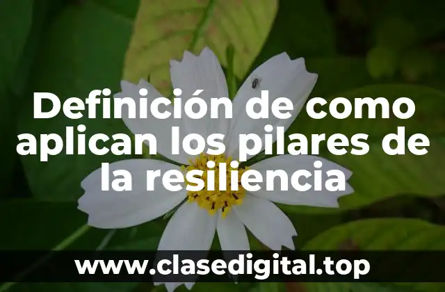 Definición de como aplican los pilares de la resiliencia