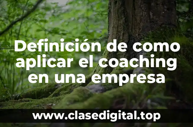 Definición de como aplicar el coaching en una empresa