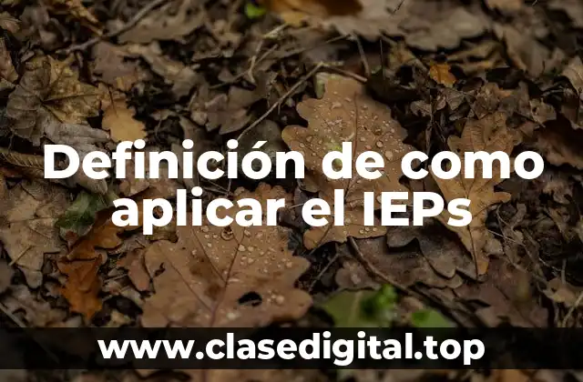 Definición de como aplicar el IEPs
