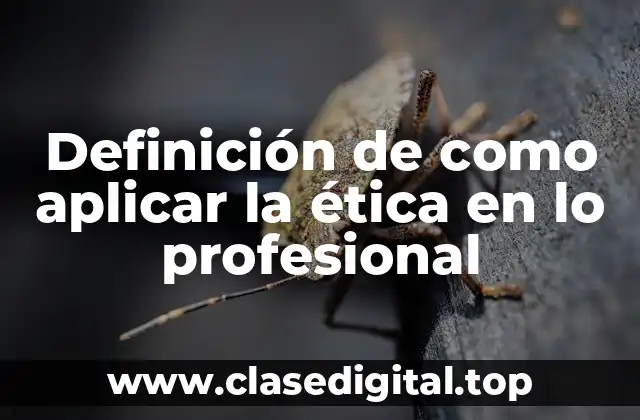 Definición de como aplicar la ética en lo profesional